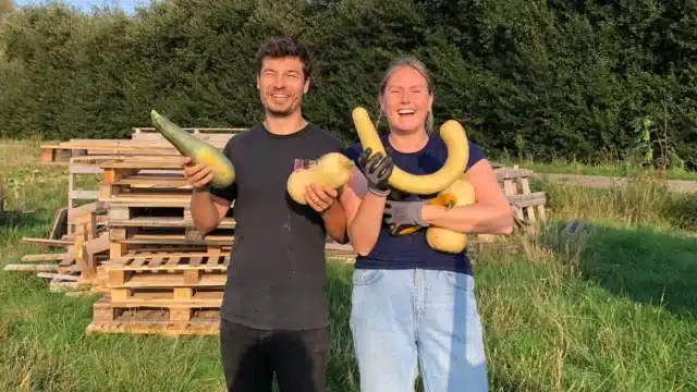 Pluktuin groente en fruit